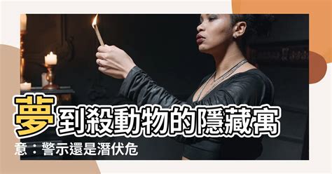 夢到殺動物|夢見殺動物，夢到殺動物是什麽意思？